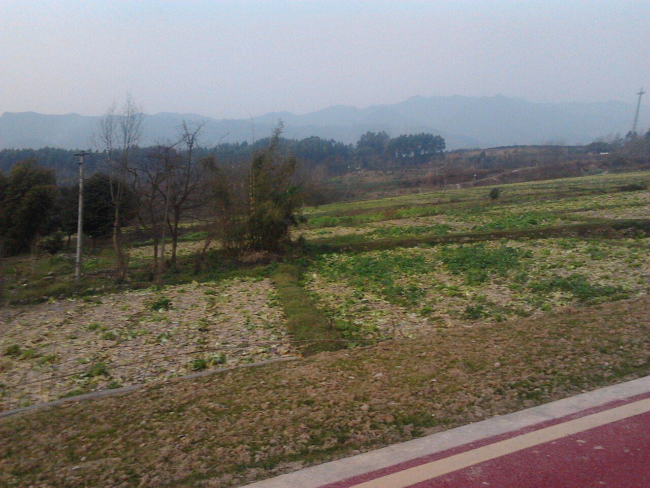 四川城市人文