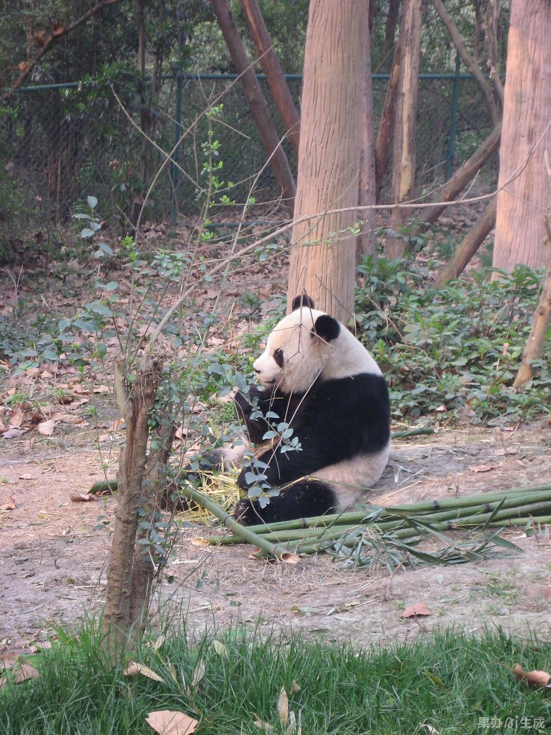 黄龙五彩池